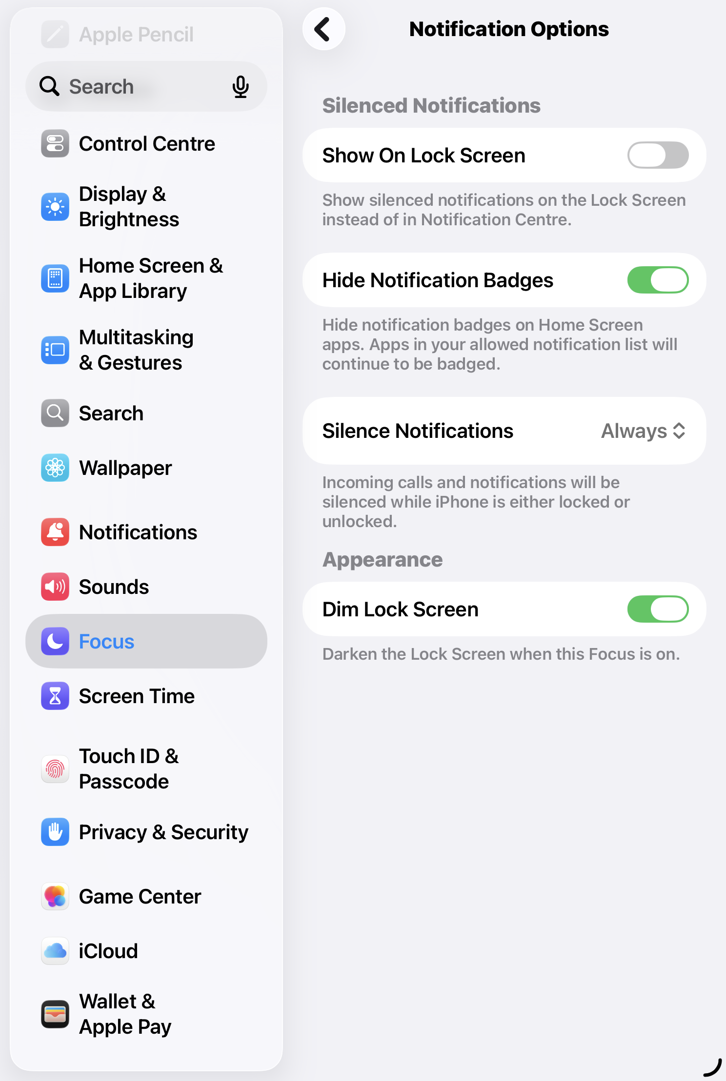 Notification Options: Hide Notification Badges on, Dim Lock Screen on — the visual hooks removed.