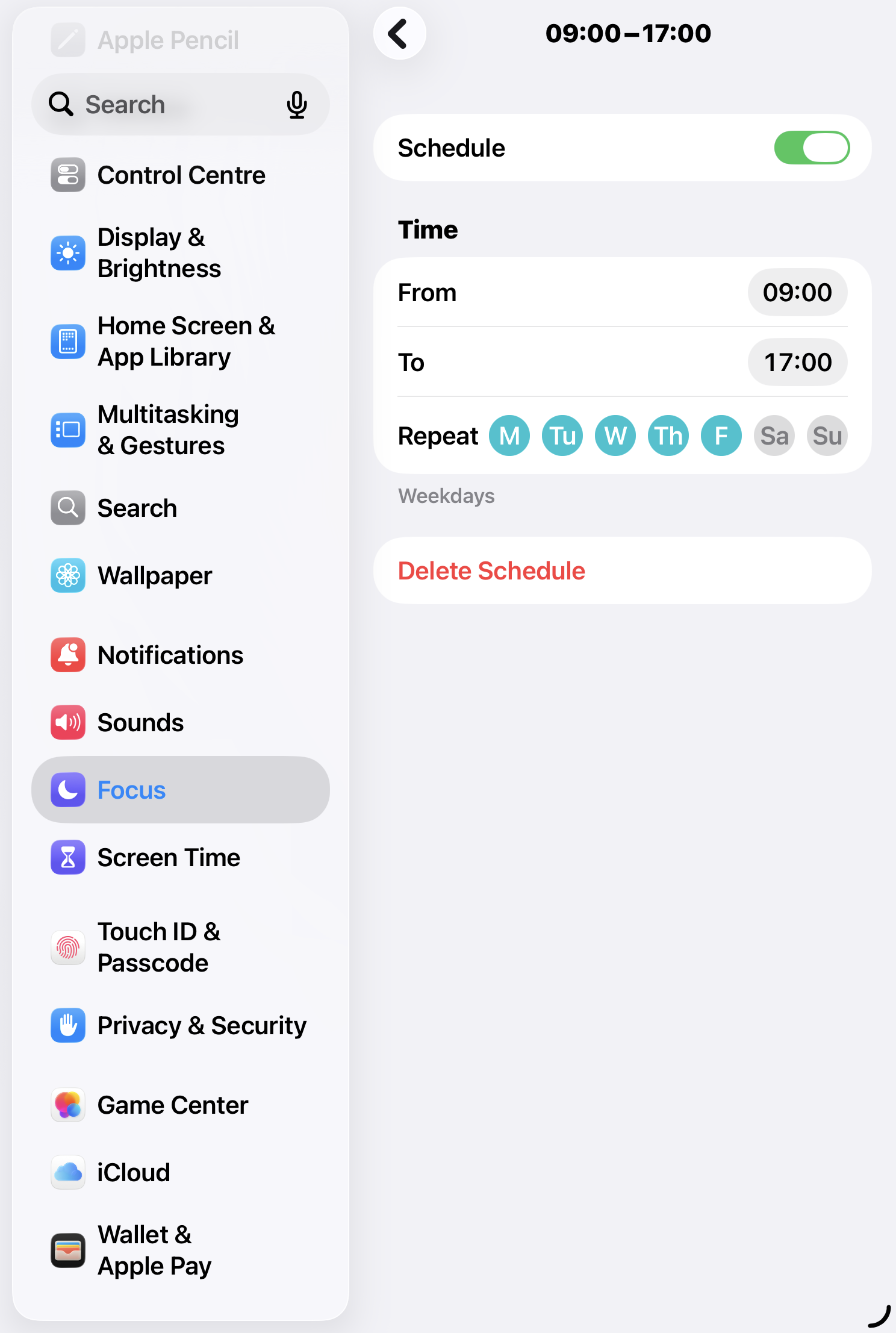 Schedule detail: From 09:00 to 17:00, Monday to Friday.