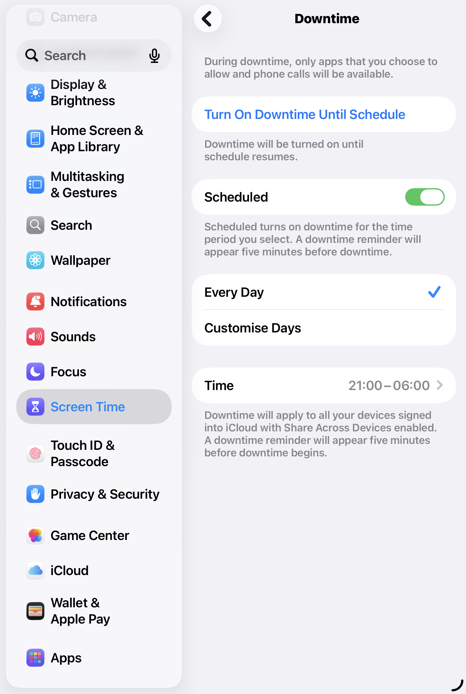 Screen Time → Downtime scheduled every day from 21:00 to 06:00.